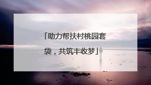 助力帮扶村桃园套袋，共筑丰收梦